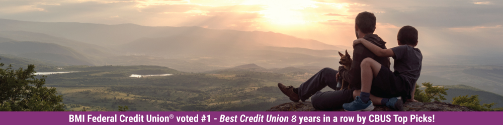 father and son looking out over land from top of mountain
