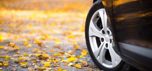 car parked in fall leaves