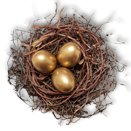 golden eggs in a nest