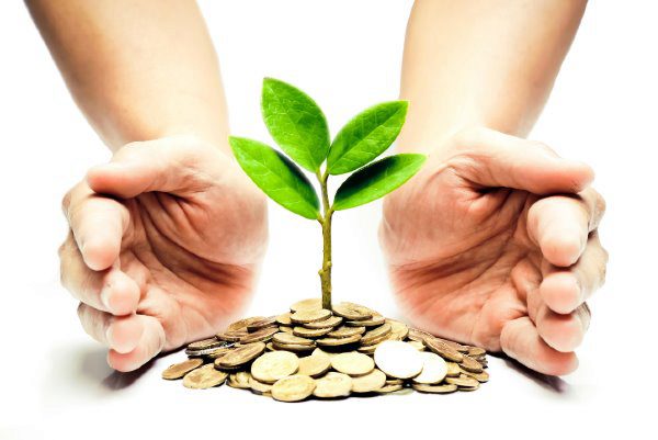 hands with a tree growing in coins