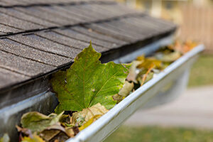 house gutter with leaves inside