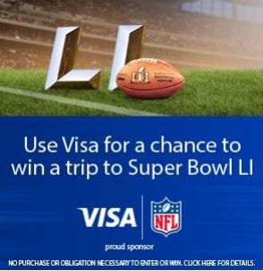 Visa football logo