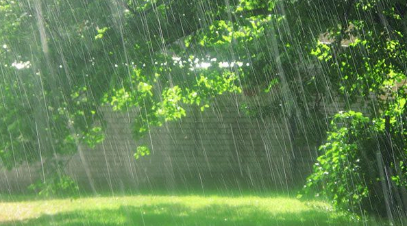 rain on a sunny day