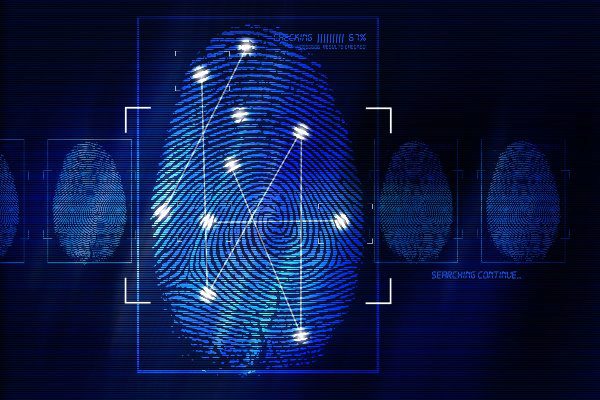 several fingerprints